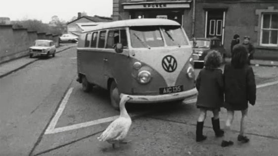 Paddy the pet goose in Carlow, 1974