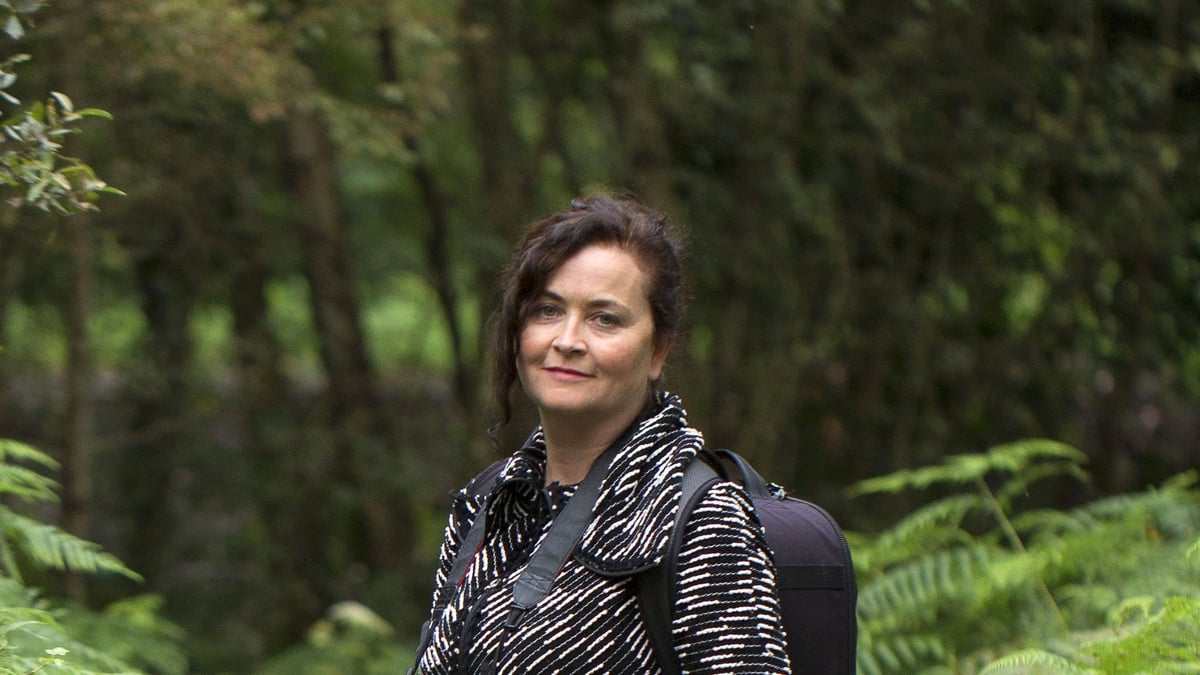 Tina Claffey | Where Life Sounds Greener