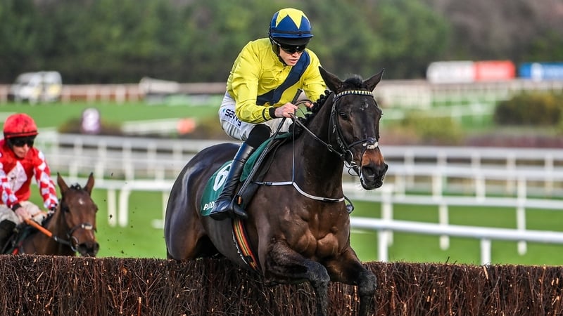 Marine Nationale was a disappointing fifth in the Irish Arkle
