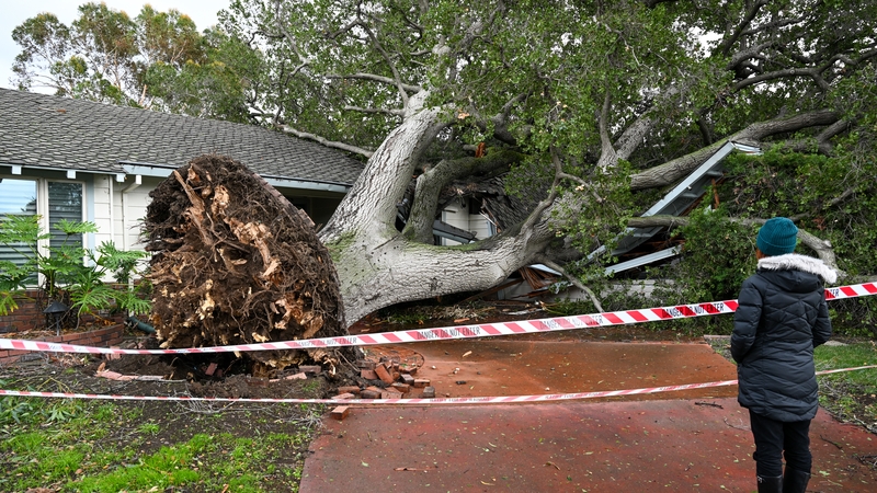 A tree fell on a house in San Jose, as atmospheric river storms hit California
