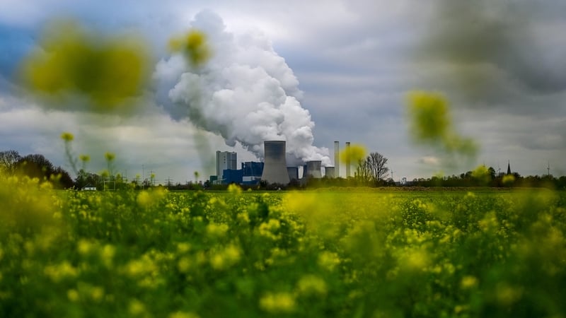 A coal-fired power station operated by German energy giant RWE in Niederaussem