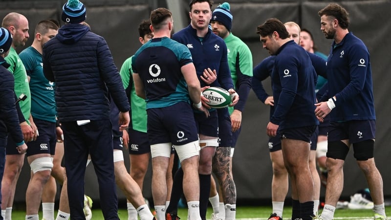 The Ireland squad training in Blanchardstown on Wednesday morning