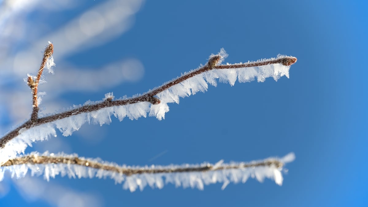 Granard in Longford is the coldest place in Ireland