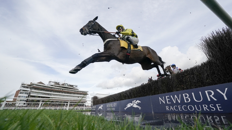 Shishkin is a general 8-1 chance for the Cheltenham Gold Cup