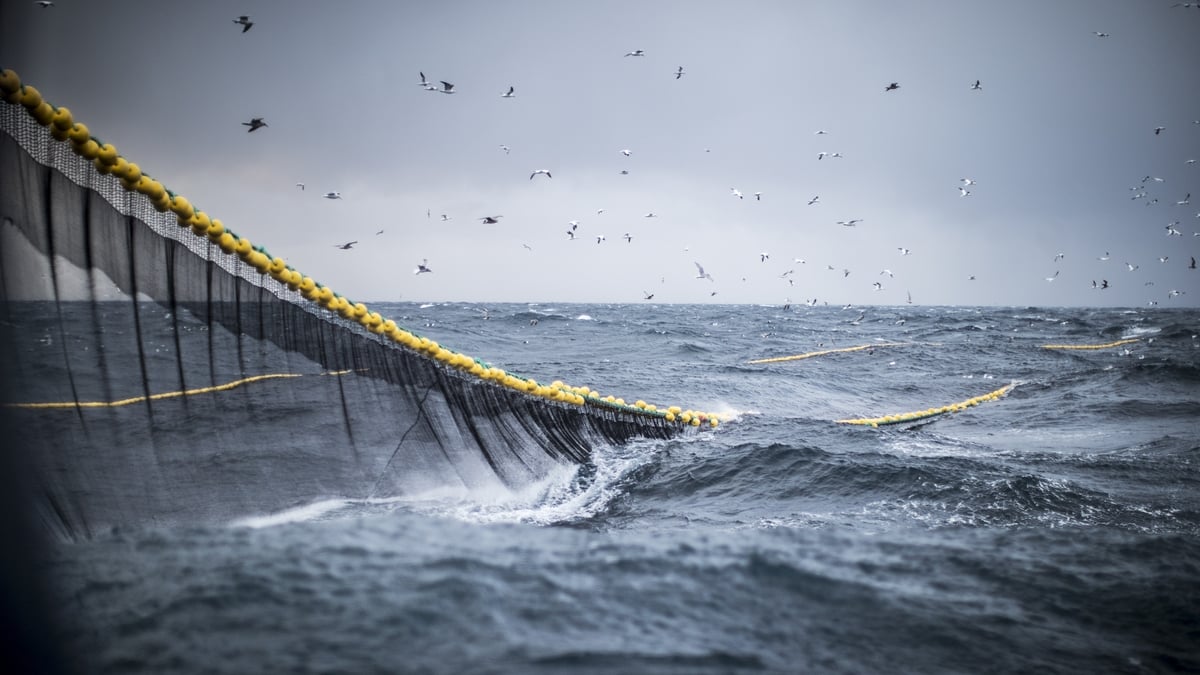 "We're sick to death of dominance from Europe"