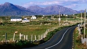 Aodán Mac Donnacha, Leas-Chathaoirleach, Coiste Sábháilteacht Áitiúil Chontae na Gaillimhe.  show image