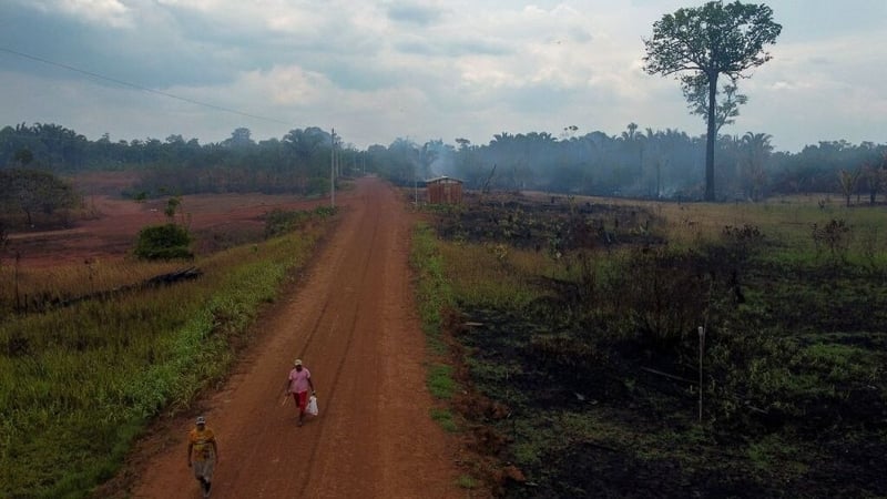 A deforested area of the rainforest in Brazil