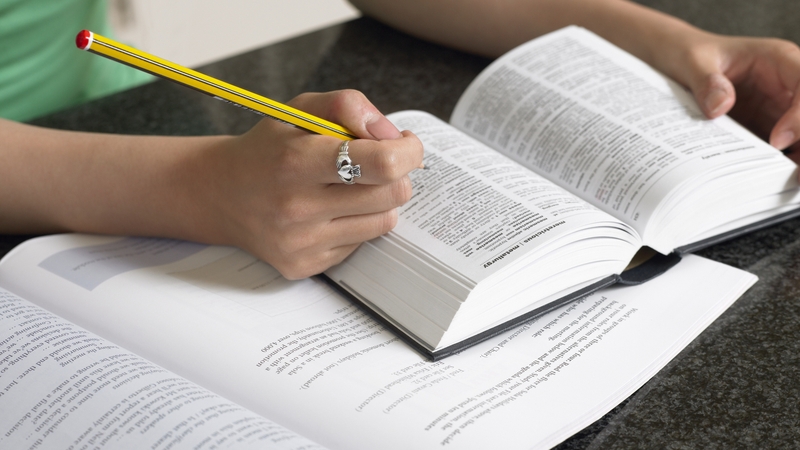 The study found that the difficulties accessing employment and education were largely due to a lack of English language proficiency (file image)