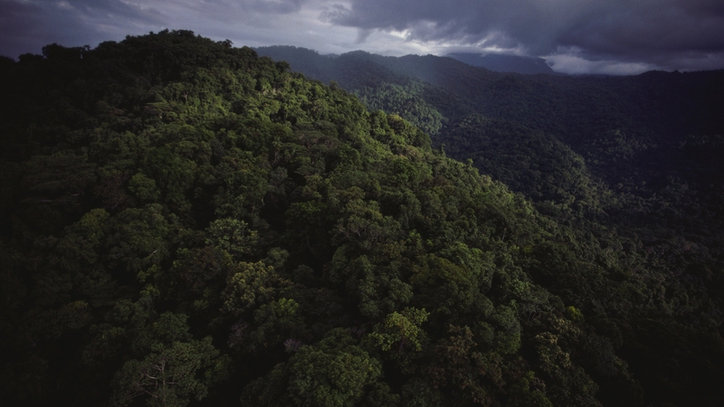 Highland clans have fought each other for centuries but an influx of weapons has made clashes more deadly and escalated the cycle of violence