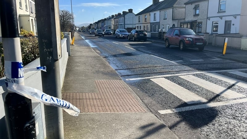 The 33-year-old pedestrian was accompanying his niece when they were both struck by a car