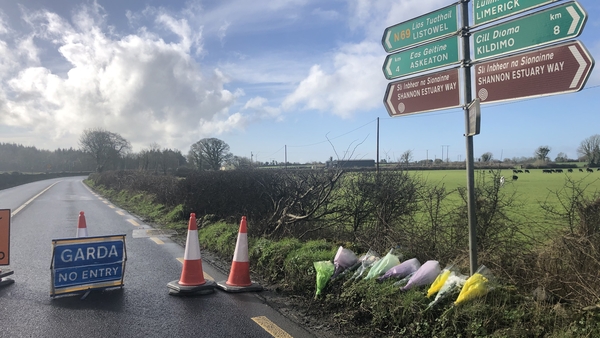 The crash occurred on the N69 at Ballyengland in Co Limerick