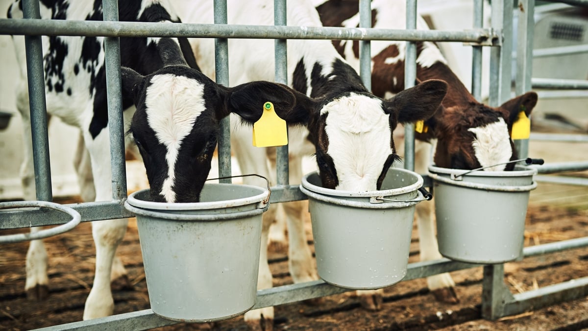 Jerry Doody ó Chumann Soláthróirí Bainne Uachtarlainne na hÉireann.