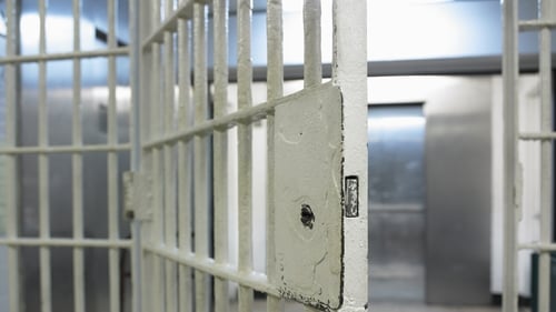 The IPS 2024 annual report said that last year, 8,704 people were taken into custody, 766 more than the previous year