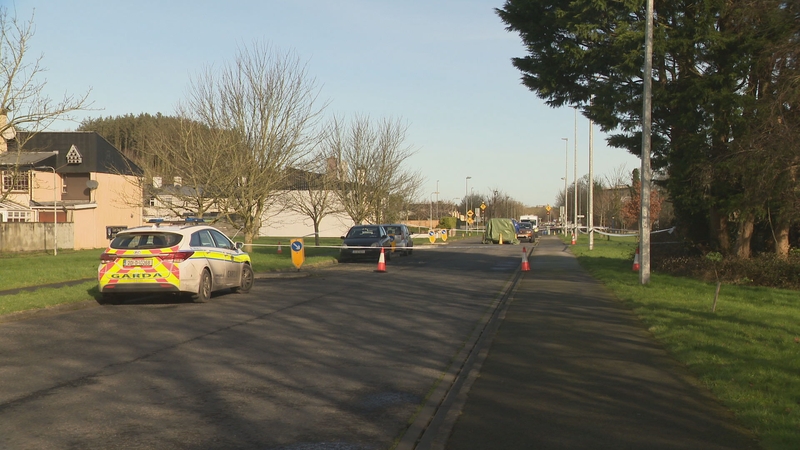 The incident happened in Purcell Park yesterday afternoon