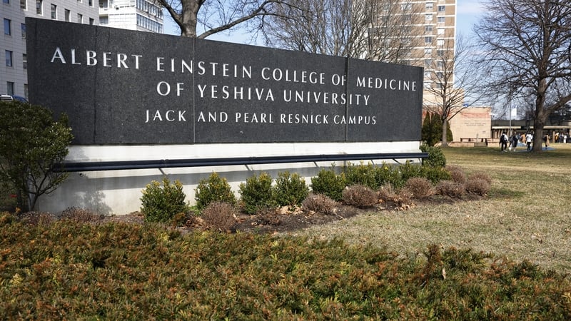 Dr Ruth Gottesman joined the college in 1968 where she researched child learning disabilities among other topics