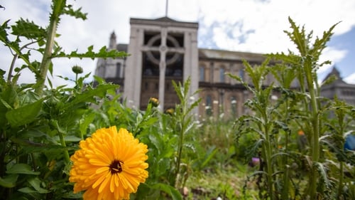 St Anne's Cathedral in Belfast: 'This is the most comprehensive survey of religious identification, practice, and viewpoints in Northern Ireland in two decades.' Photo: Getty Images