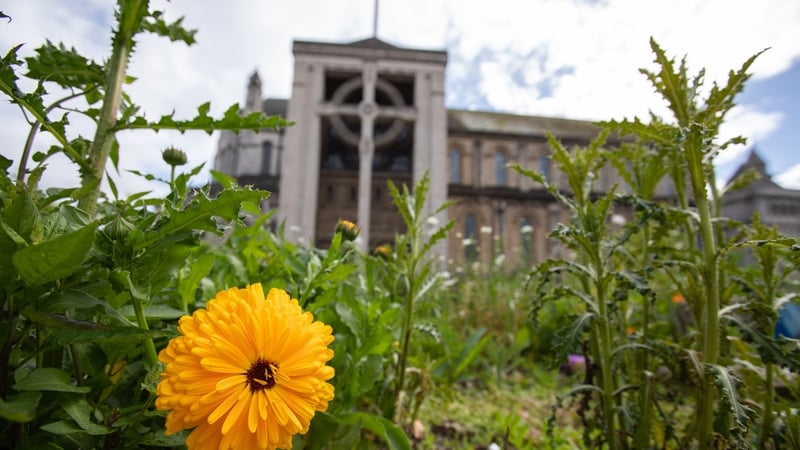 St Anne's Cathedral in Belfast: 'This is the most comprehensive survey of religious identification, practice, and viewpoints in Northern Ireland in two decades.' Photo: Getty Images