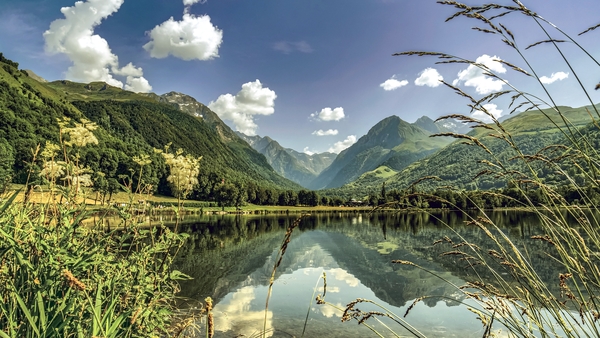 Under the draft text, countries will be mandated to restore 20% of the EU's land and sea areas by 2030 and all ecosystems by 2050