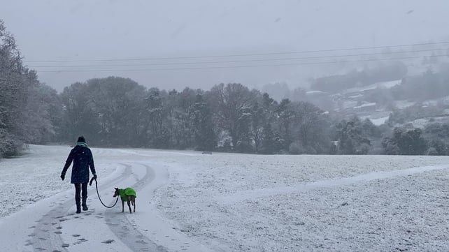 A walker and her dog at Fernhill park Stepaside, Co Dublin