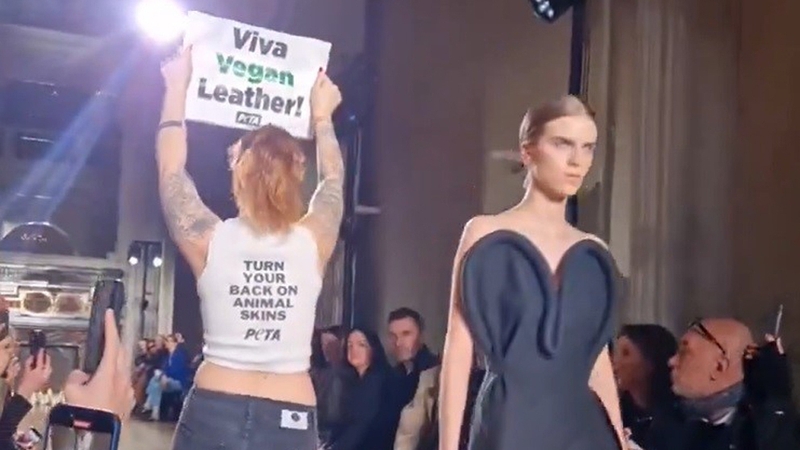 The PETA campaigners got up during the show and walked the runway alongside the models while holding up signs saying: "Viva vegan leather"
Photo: PETA/Press Association