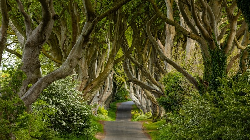 The site was made famous in the HBO series 'Game of Thrones'