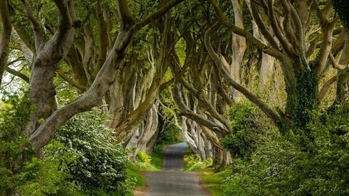 We're letting you in on some unmissable Irish hidden gems - just don't tell too many people or they won't stay secret for long!