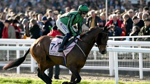 Hewick is a four-time winner from 21 starts over timber