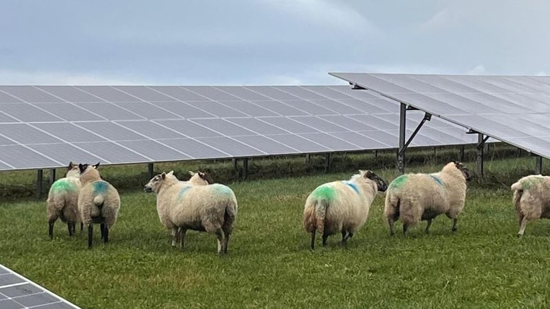 Teagasc it is are already seeing a huge amount of interest from farmers in solar PV panels