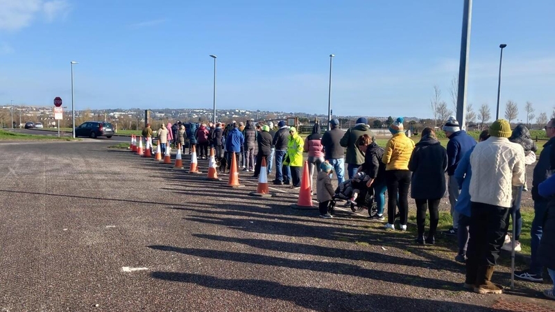 Cork City Council gave away 2,500 trees as part of National Tree Week