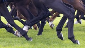 New Allianz League, Premier League Preview, Weekend Racing show image