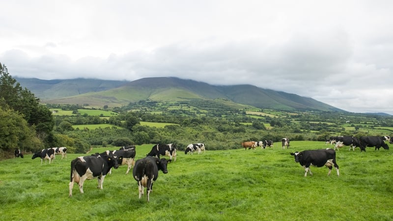 The report said land values - for sale and rent - are expected to rise again primarily due to better milk prices
