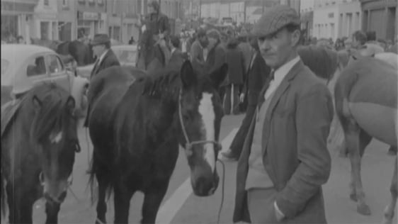 Selling horses at the Kilrush horse fair in County Clare, 1974