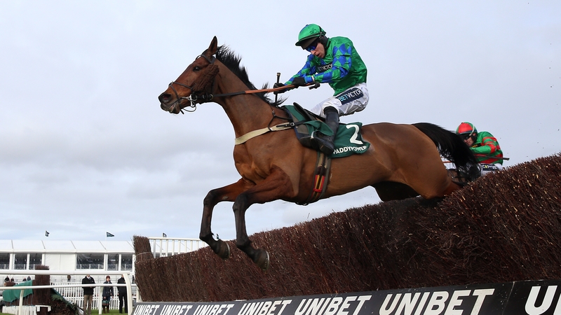 Ga Law is a general 16-1 chance for the Ryanair Chase