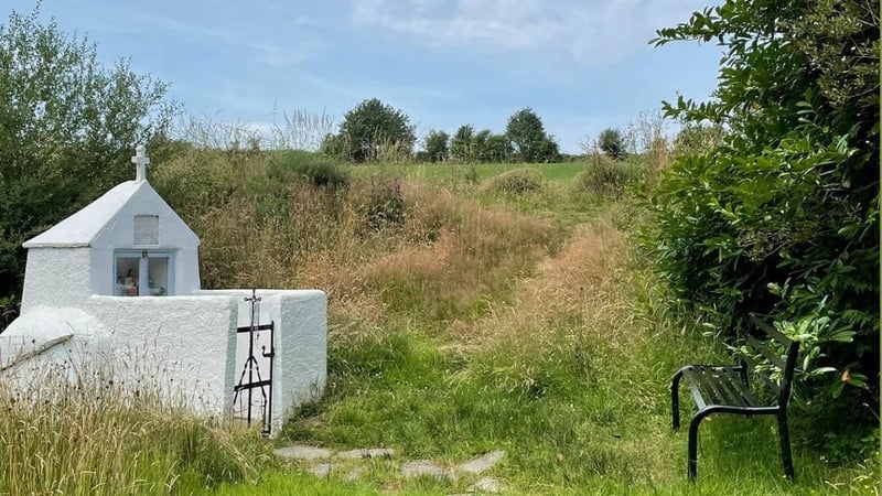 An image from the cover of Michael Fortune's new book on Wexford