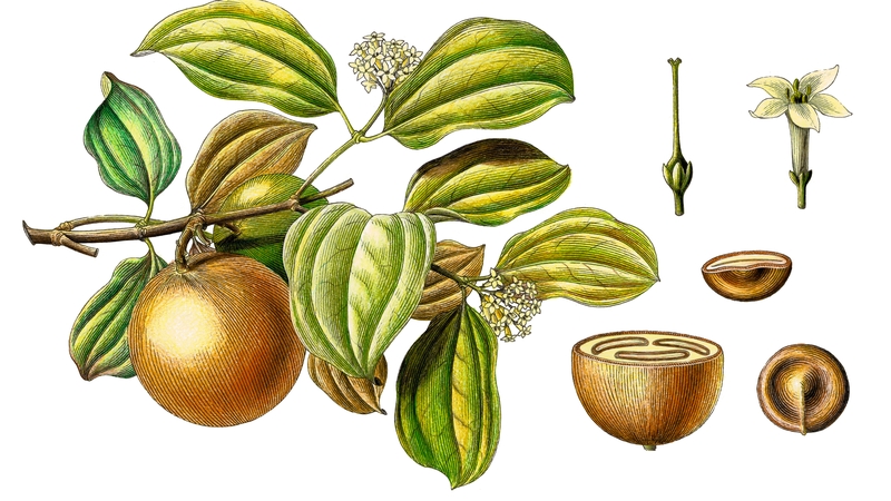 Strychnine was a favourite of poisoners. Photo: Getty Images