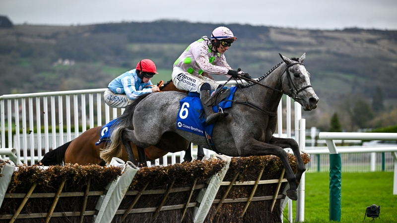 Lossiemouth has won eight of her nine starts over hurdles