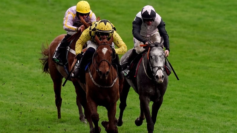 State Man leads home Irish Point and Luccia