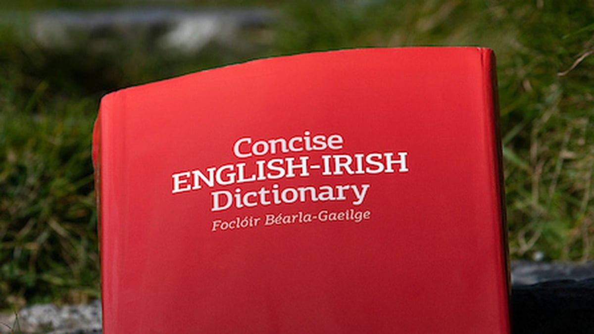 Raising your Children As Gaeilge 