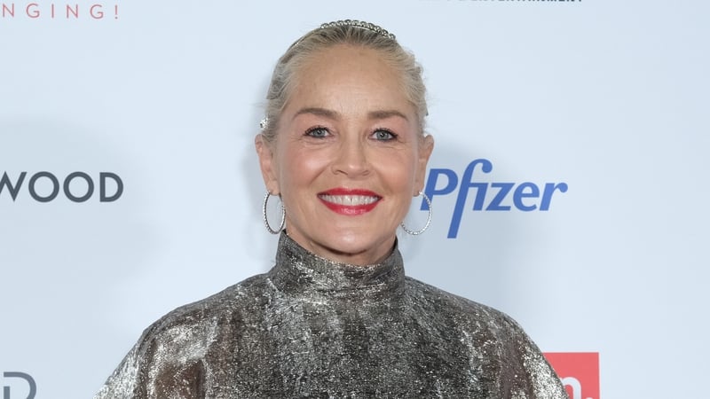 Sharon Stone was nominated for an Oscar for her performance in Best Actress