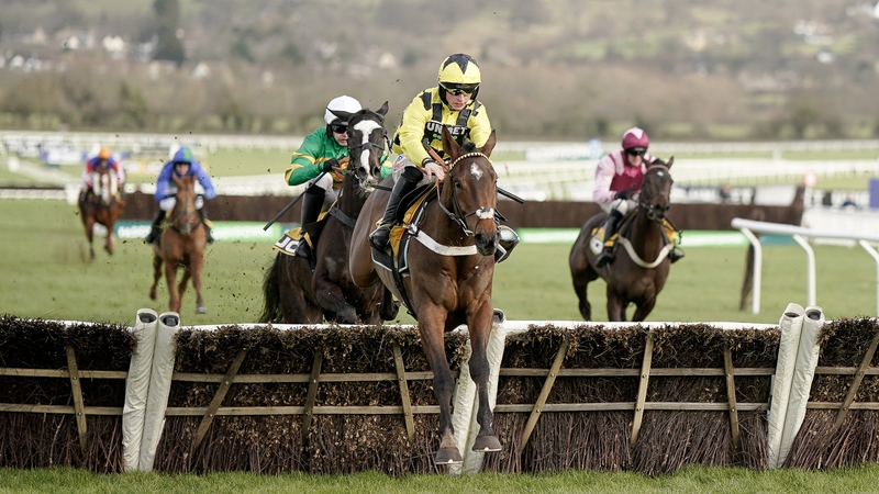 Sir Gino missed the Triumph Hurdle at last year's Cheltenham Festival due to the yard's poor form at the time