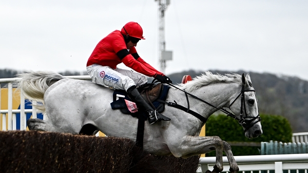 Grey Dawning clearing the last to win
