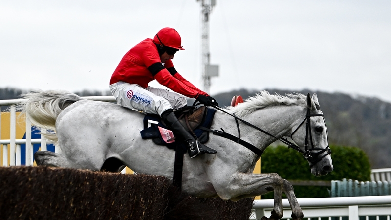 Grey Dawning clearing the last to win