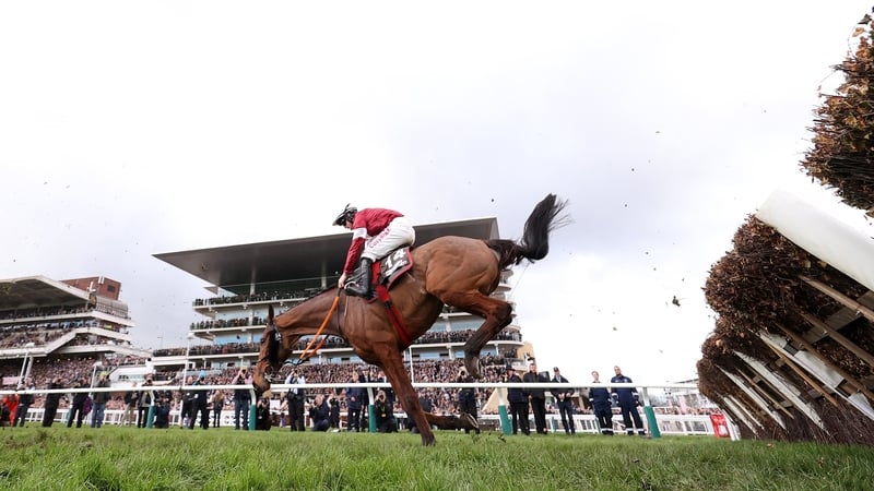 Stellar Story came from behind to win the Alfred Bartlett