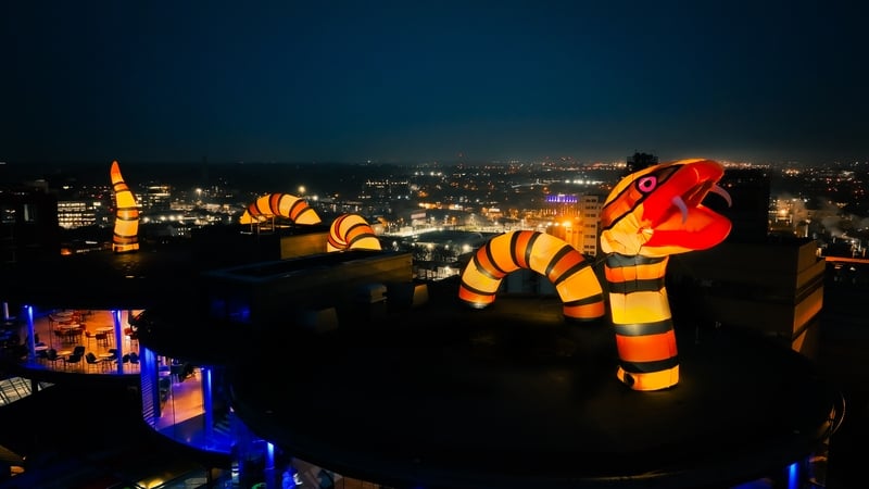 Archivist Eibhlin Colgan on Paddy's Day celebrations and historical branding.