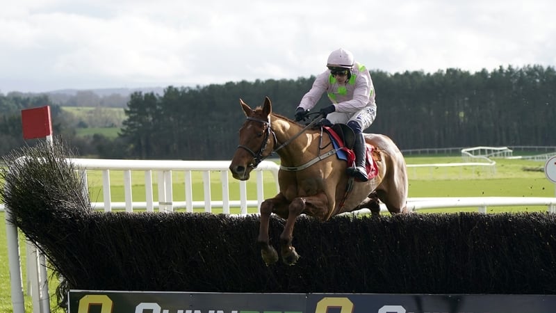 Mister Policeman is unbeaten in five starts since joining Willie Mullins