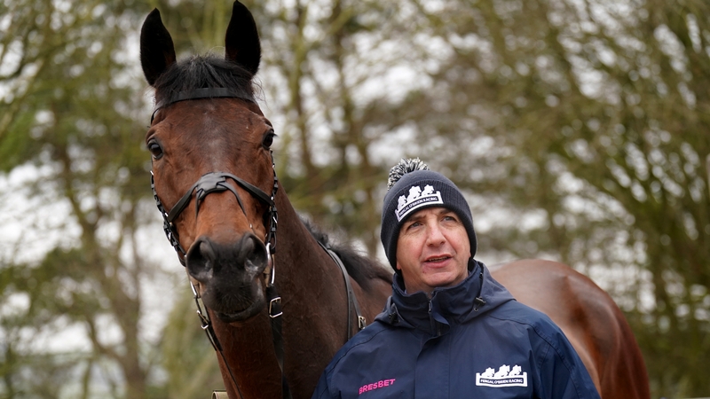 Crambo never looked like giving trainer Fergal O'Brien a a first Cheltenham Festival success in Thursday's Stayers' Hurdle