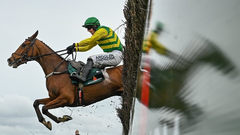 Adamantly Chosen is one of 10 Willie Mullins-trained horses still entered in the Grand National