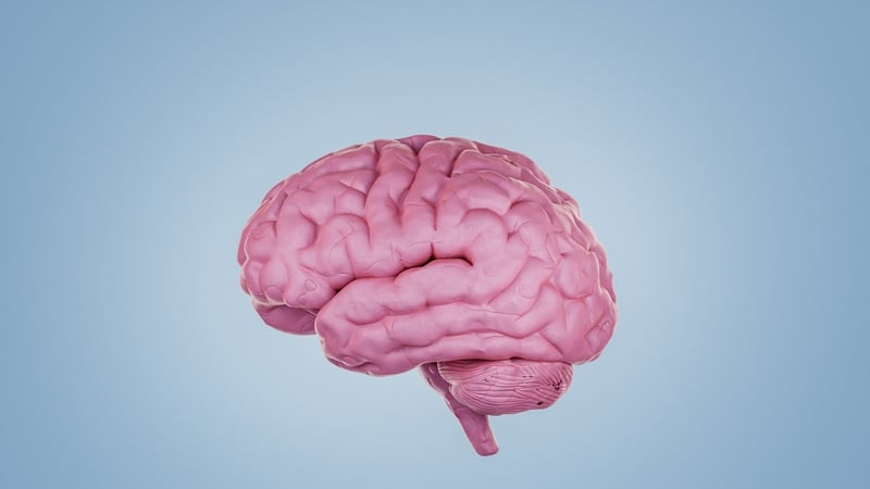 Having a brain age higher than your actual age can be a signal of departure from healthy ageing. Photo: Getty Images