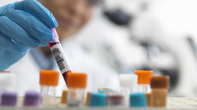 The technology can cut the DNA at certain points, allowing unwanted genes to be deleted, or new genetic material to be introduced into cells (File image)