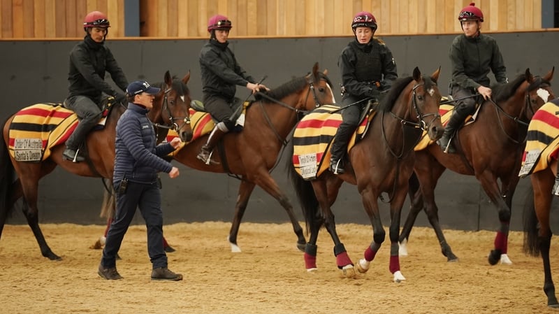 It's a busy time of year for master trainer Aidan O'Brien as he prepares his elite horses for their opening Group races of the campaign